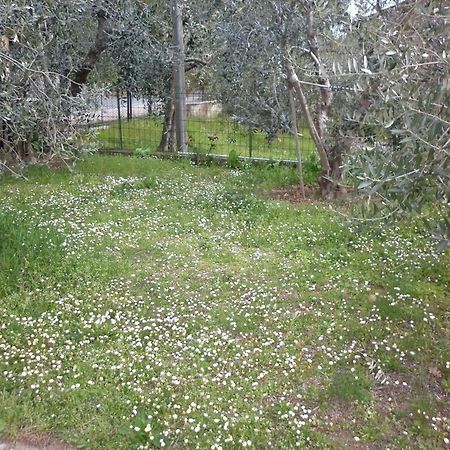 Casa Gli Ulivi Villa Montepulciano Stazione Dış mekan fotoğraf
