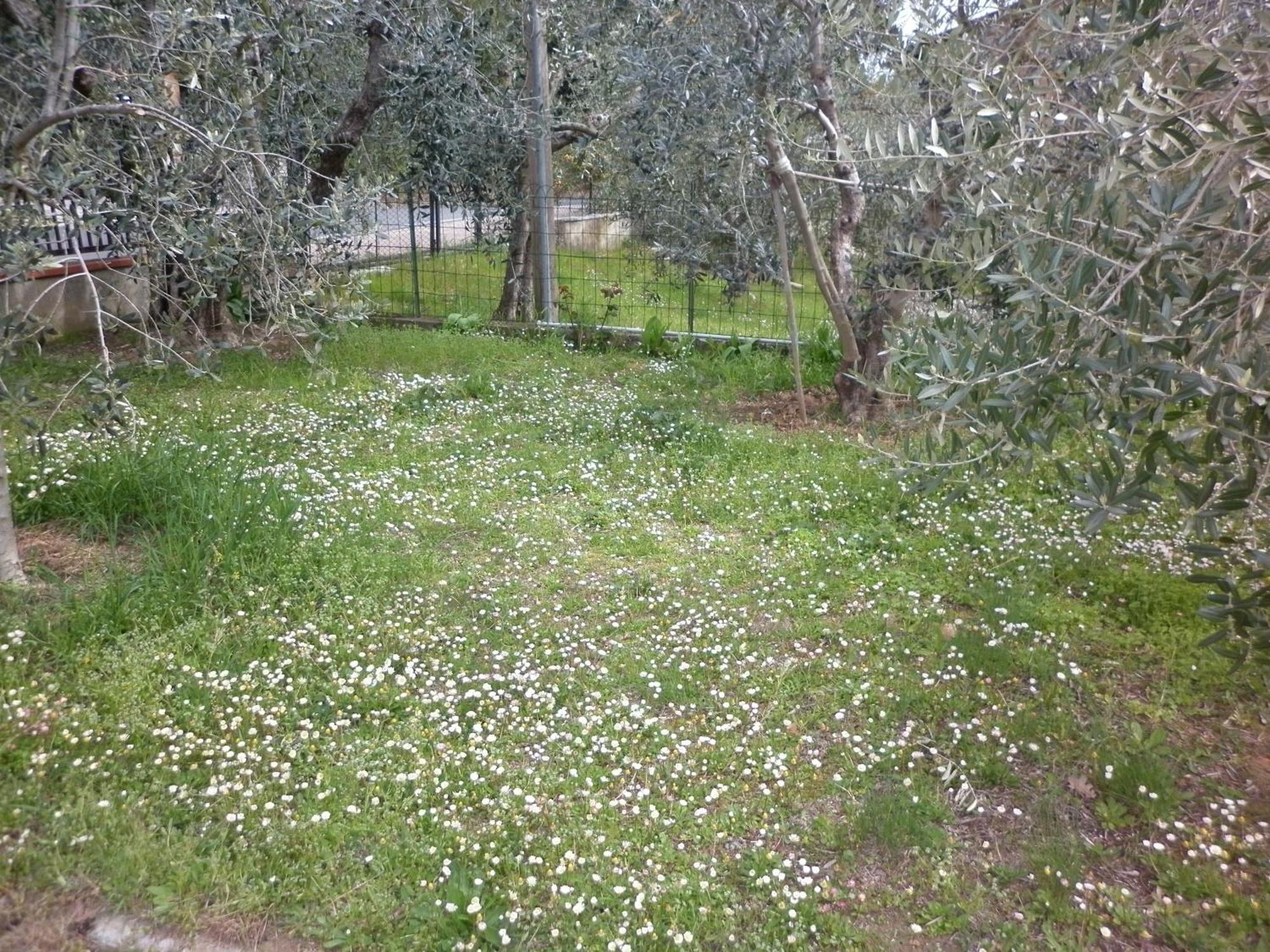 Casa Gli Ulivi Villa Montepulciano Stazione Dış mekan fotoğraf