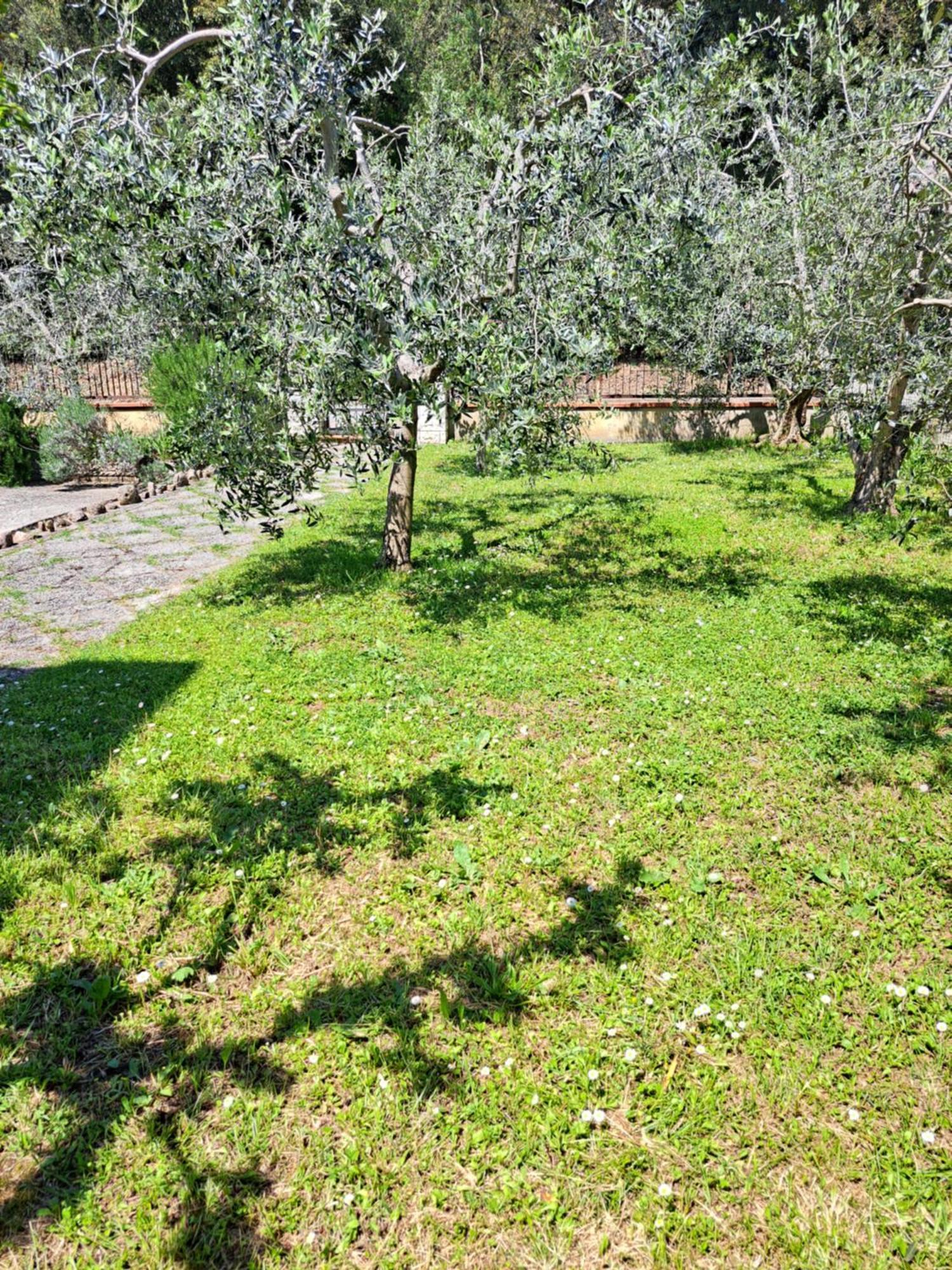 Casa Gli Ulivi Villa Montepulciano Stazione Dış mekan fotoğraf