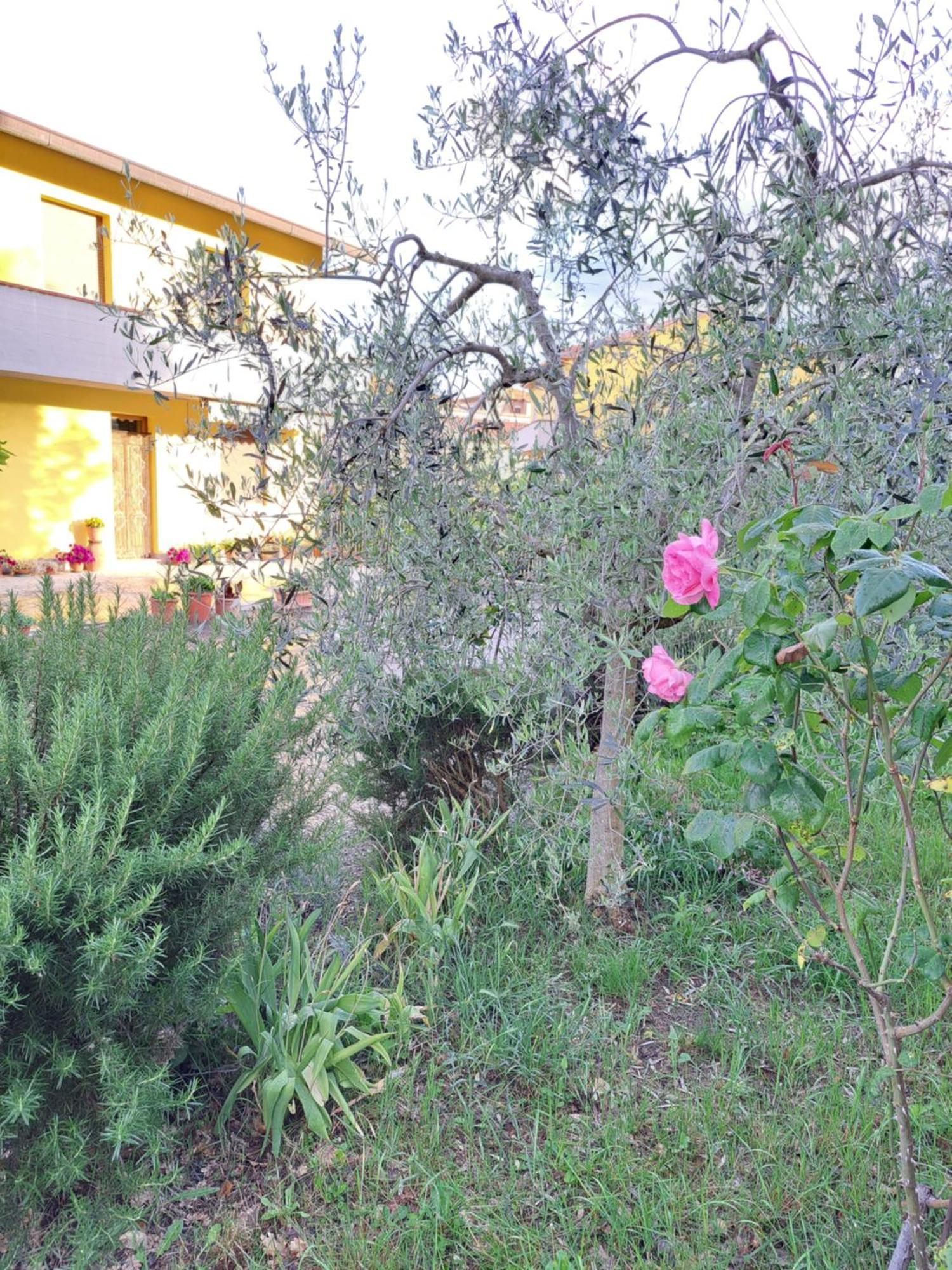 Casa Gli Ulivi Villa Montepulciano Stazione Dış mekan fotoğraf