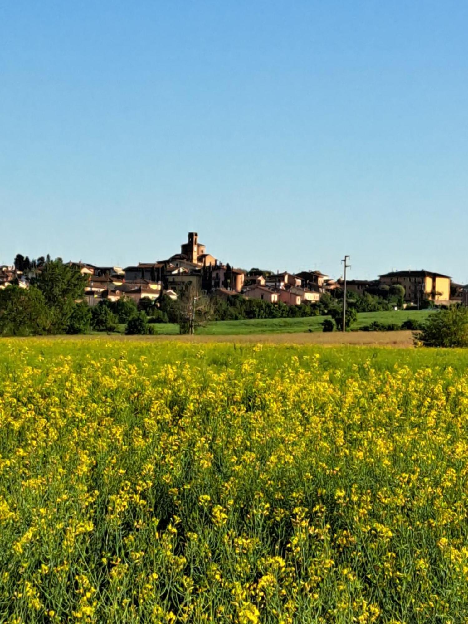 Casa Gli Ulivi Villa Montepulciano Stazione Dış mekan fotoğraf